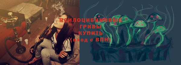 кокс Белокуриха