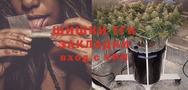 кокс Белокуриха