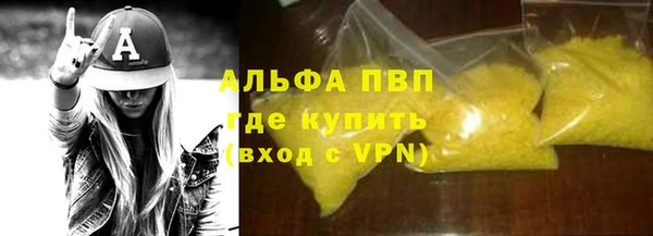прущие грибы Белоозёрский