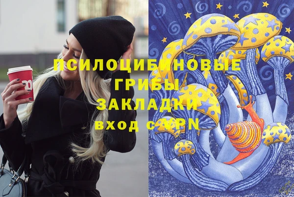 кокс Белокуриха