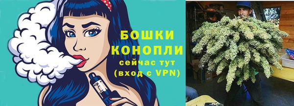 кокс Белокуриха